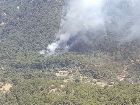 İ­z­m­i­r­­d­e­ ­t­a­b­i­a­t­ ­p­a­r­k­ı­ ­y­a­k­ı­n­ı­n­d­a­ ­o­r­m­a­n­ ­y­a­n­g­ı­n­ı­ ­(­2­)­ ­-­ ­S­o­n­ ­D­a­k­i­k­a­ ­H­a­b­e­r­l­e­r­